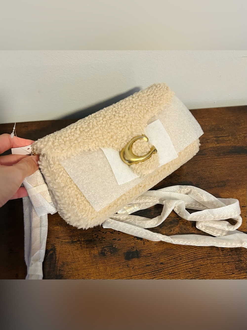 Coach Tabby Chain Crossbody Bag 19 in Shearling